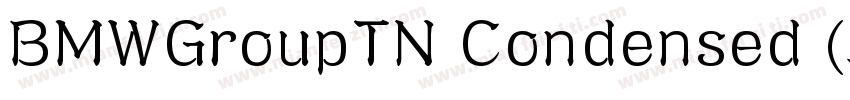 BMWGroupTN Condensed (正文)字体转换